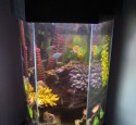 20 Gallon Hexagon Aquarium