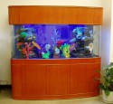 200 Gallon All Glass Aquarium