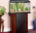 20 Gallon Aquarium Stands