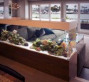 200 Gallon Saltwater Aquarium
