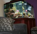 Led Lighting For 200 Gallon Aquarium