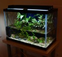 Tall 20 Gallon Aquarium