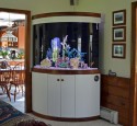 200 Gallon Aquarium Used