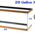 How Big Is A 20 Gallon Tank