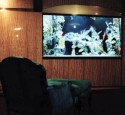 200 Gallon Round Aquarium