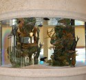 300 Gallon Aquarium In Apartment