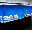 300 Gallon Aquarium Acrylic