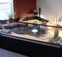 200 Gallon Aquarium For Turtles