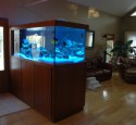 300 Gallon Aquarium Overflow
