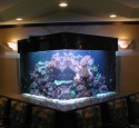 200 Gallon Glass Aquarium