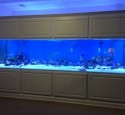 Marineland 300 Gallon Aquarium