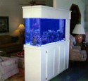200 Gallon Saltwater Aquarium Kit