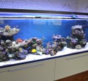 300 Gallon Reef Aquarium Setup