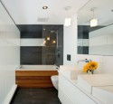 Modern Shower Tub Combo
